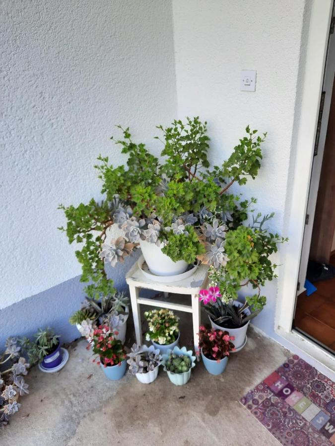 Apartmani Gracela Водице Екстериор снимка